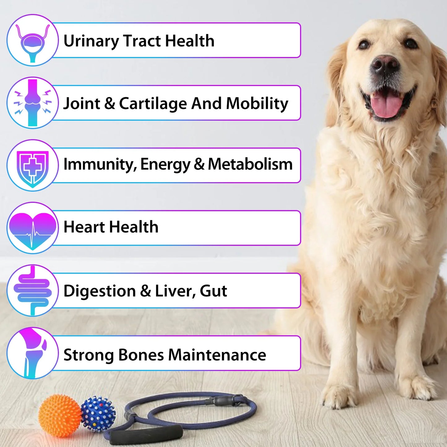 Dog Multivitamin 15-in-1 - Complete Health Support 60ml