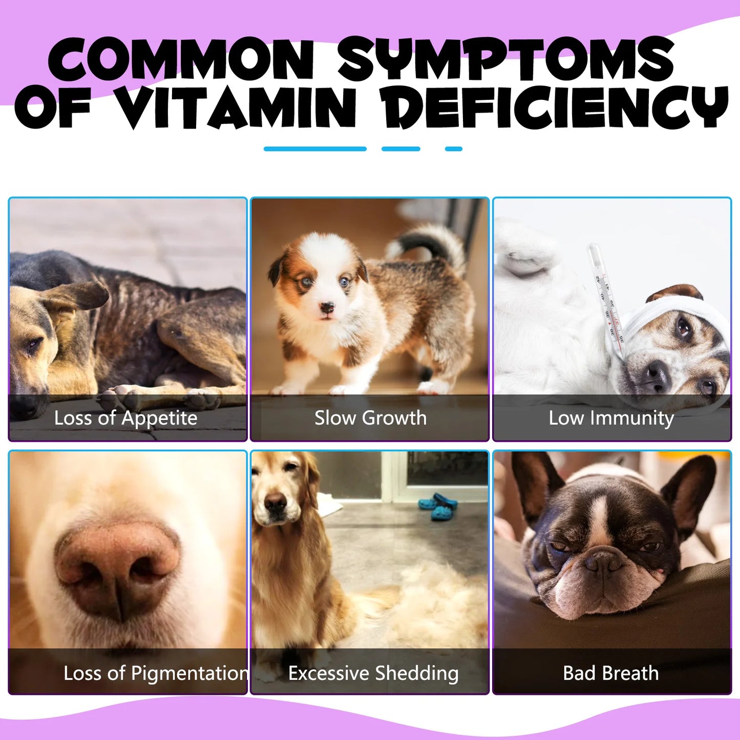Dog Multivitamin 15-in-1 - Complete Health Support 60ml