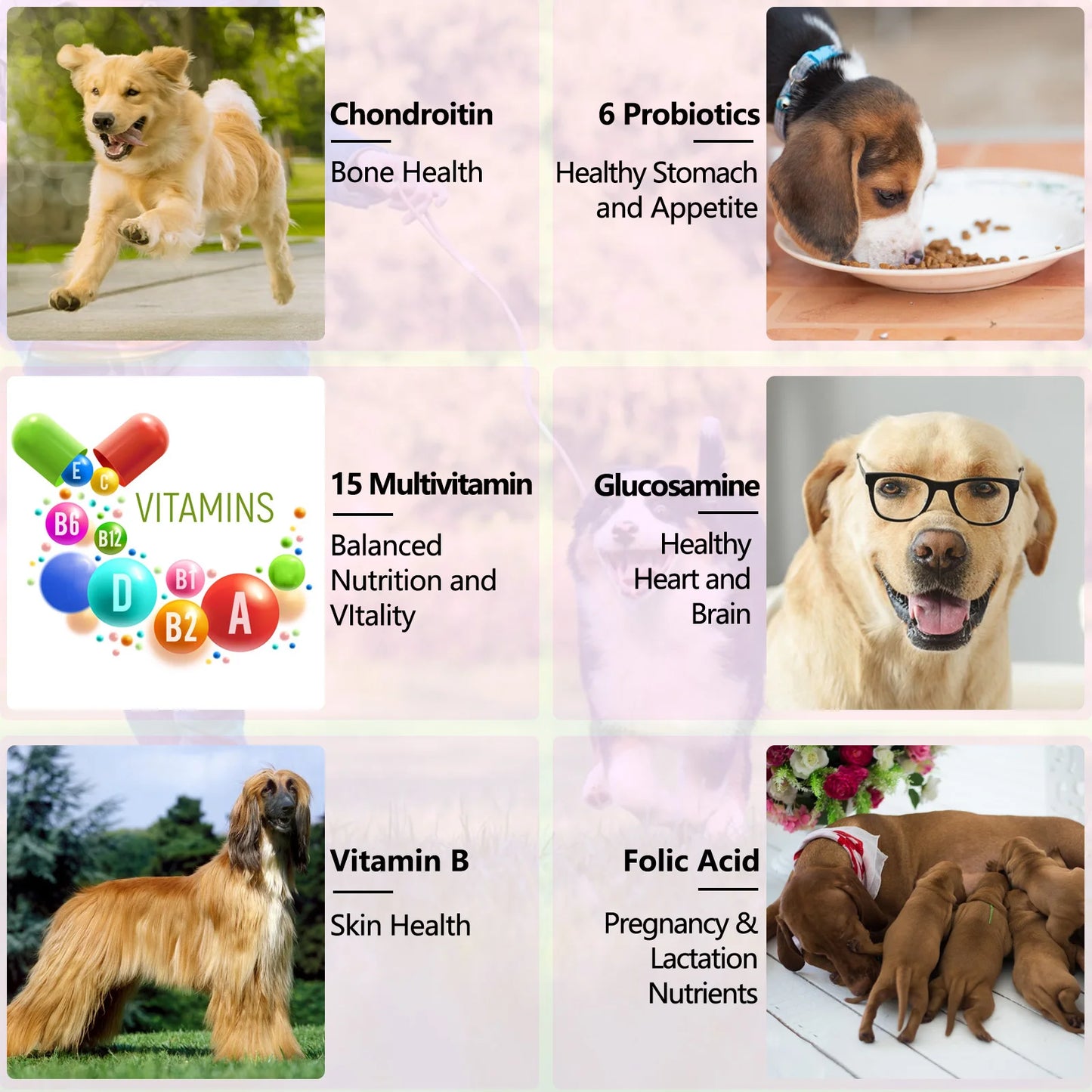 Dog Multivitamin 15-in-1 - Complete Health Support 60ml