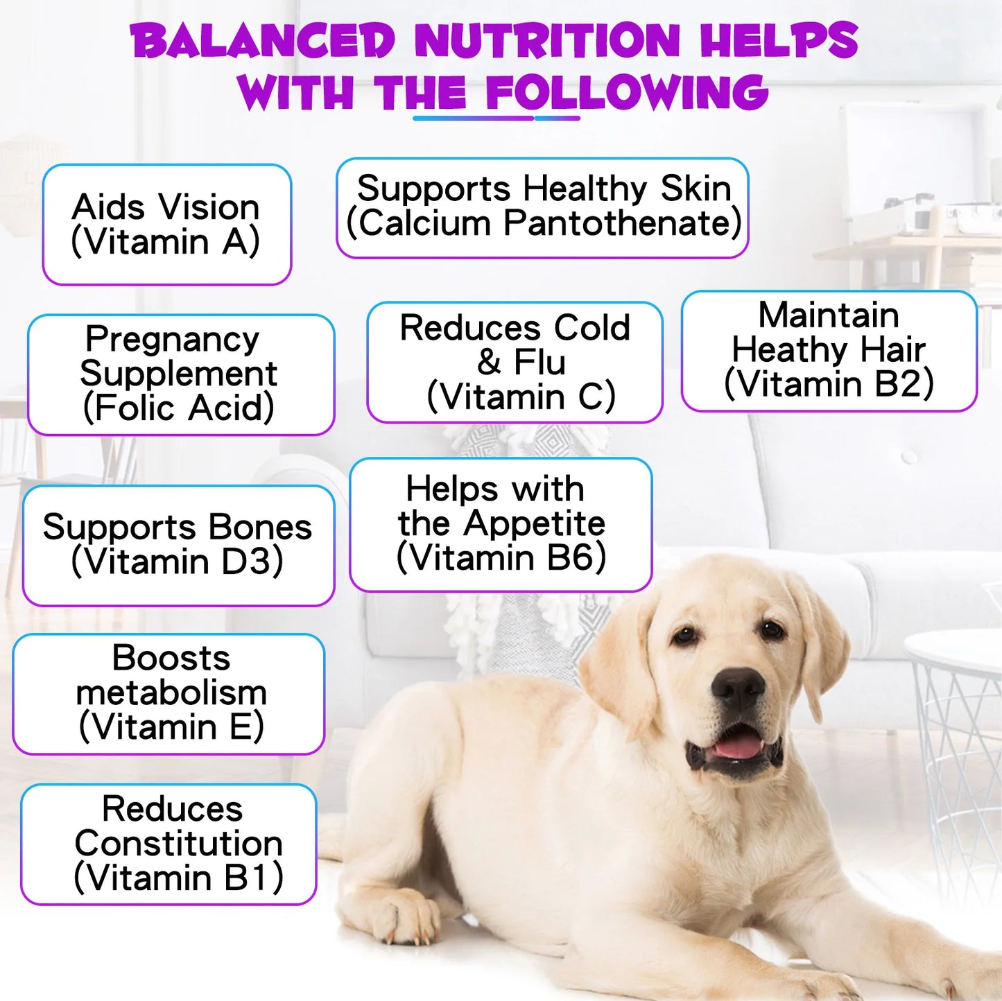 Dog Multivitamin 15-in-1 - Complete Health Support 60ml