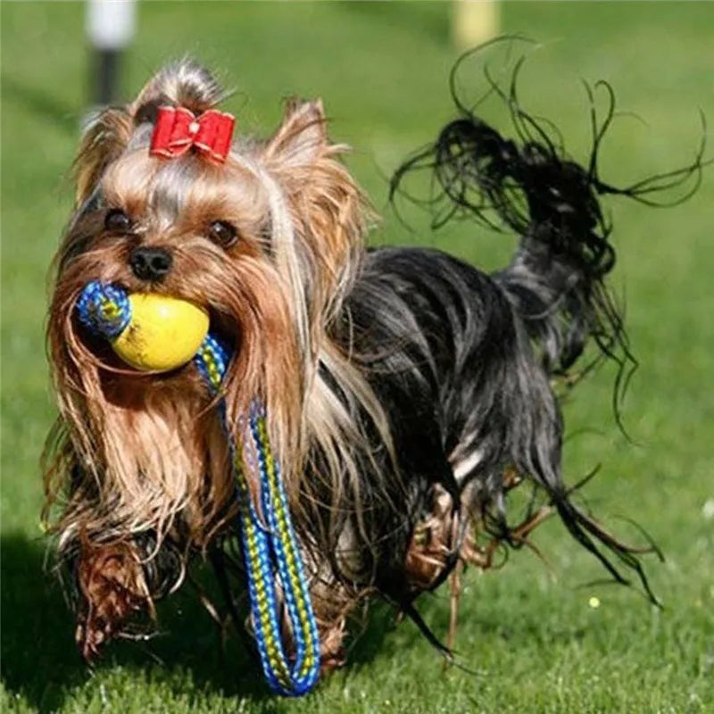 Indestructible Dog Ball Rope Handle - Fetch Training Toy