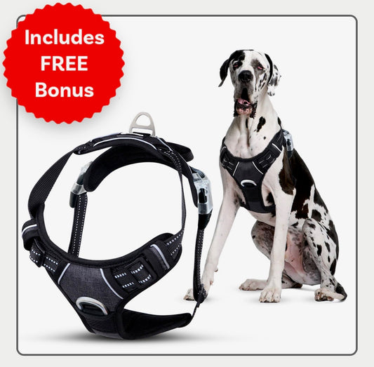 No Pull Dog Harness