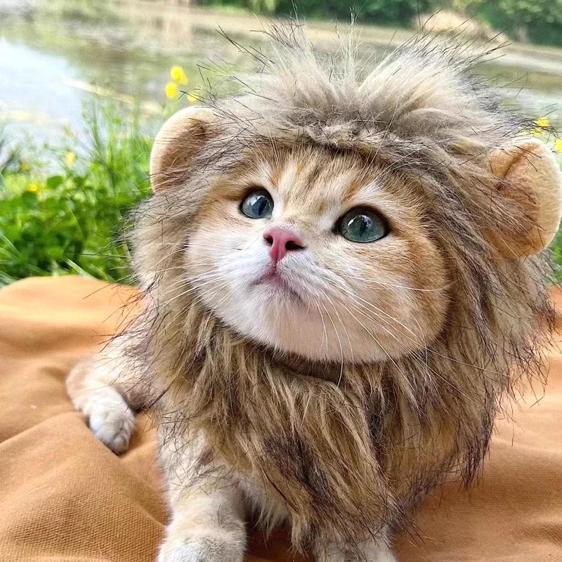Lion Mane Pet Costume - Transform Cat or Puppy Into King