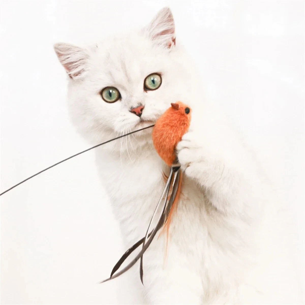 Self Entertainment Cat Toy - Interactive Feather Wand Auto