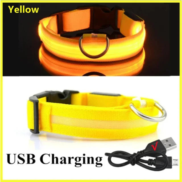 LED Dog Collar Rechargeable - Safety Light Up Pet Collar