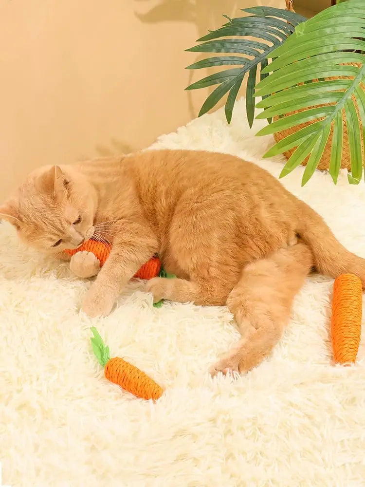 Carrot Cat Toy - Self Entertainment Teething Scratching