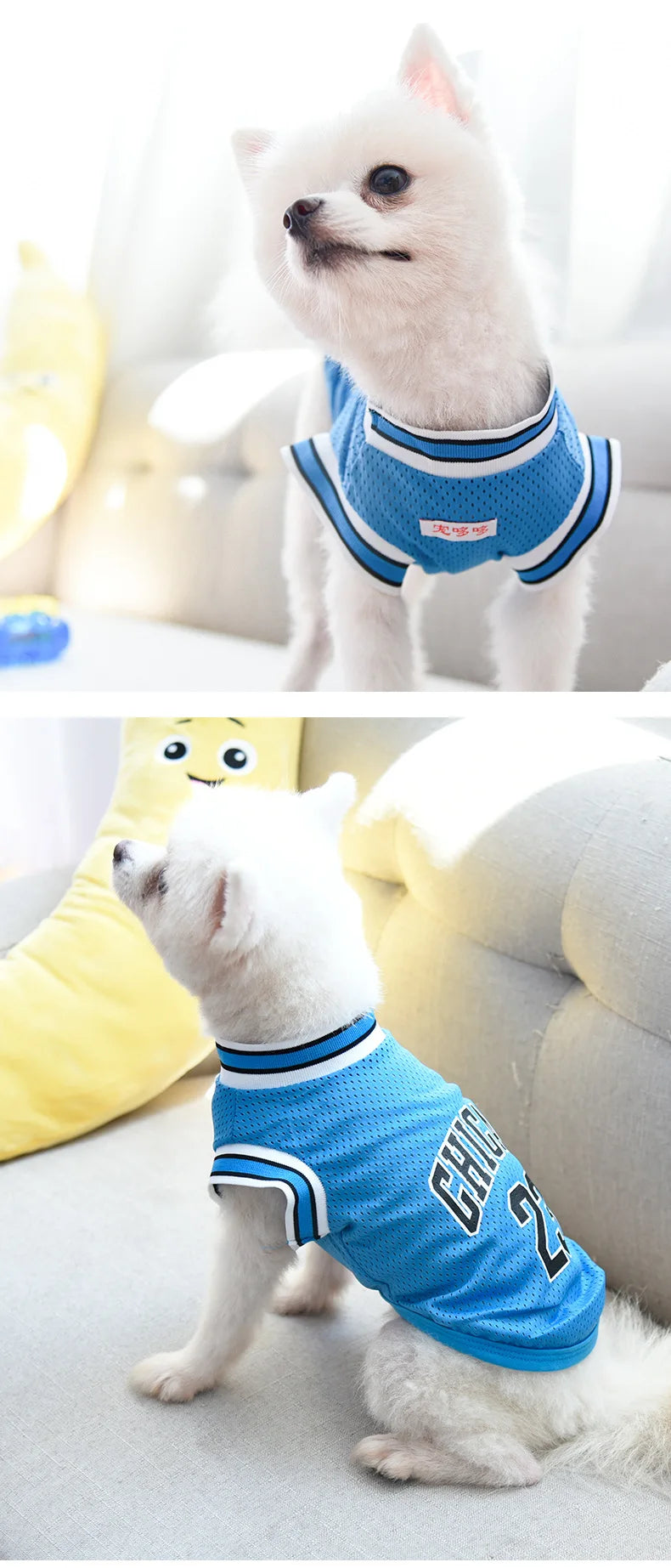 petsSports Jersey Mesh - Breathable Basketball Shirt