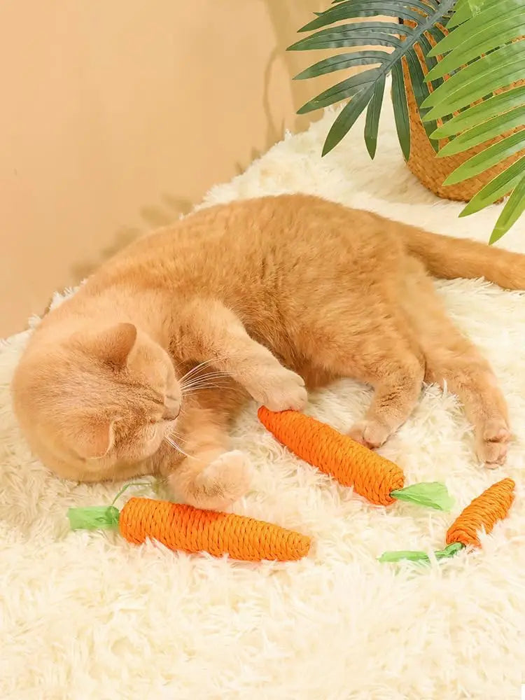 Carrot Cat Toy - Self Entertainment Teething Scratching