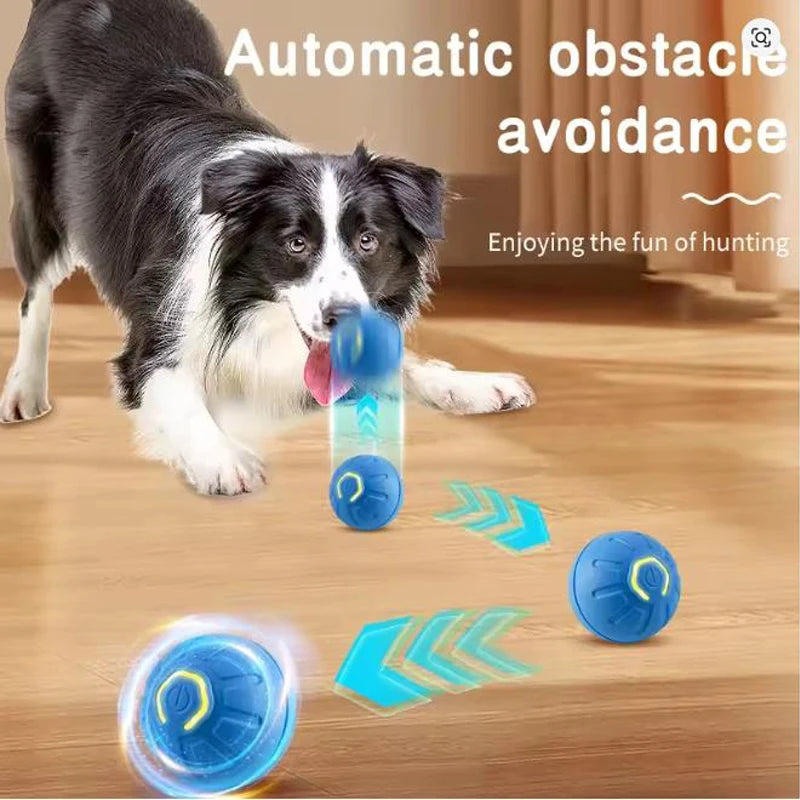 Smart Interactive Pet Ball - They Play You Work Auto Toy