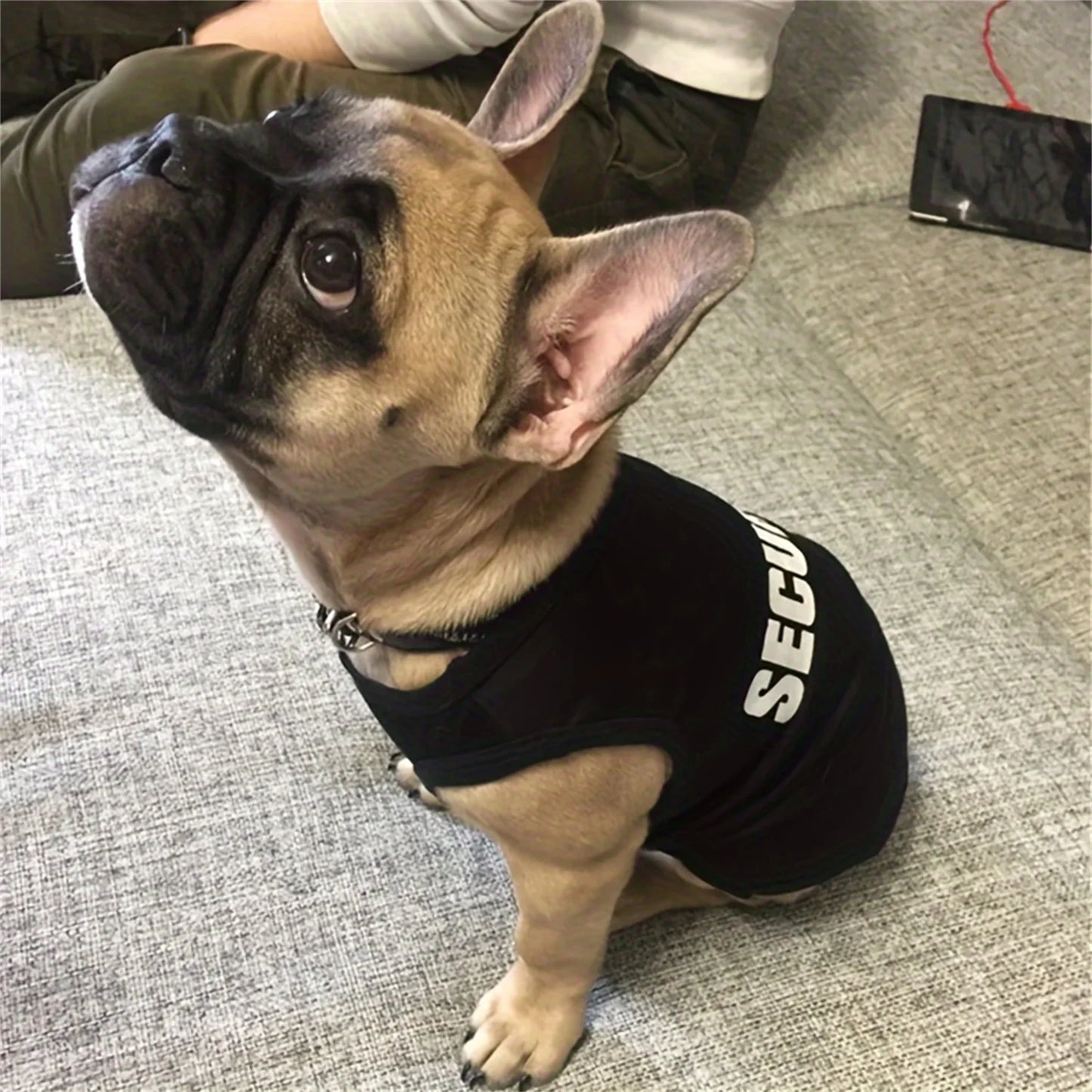 Security Guard Dog Costume - Small Dog Vest Uniform