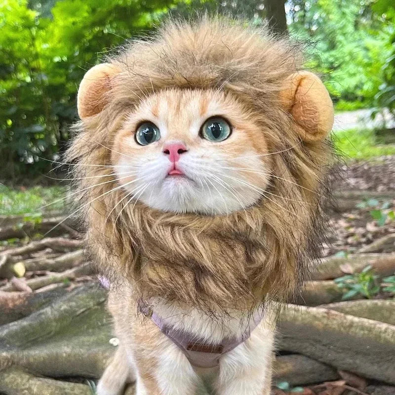 Lion Mane Pet Costume - Transform Cat or Puppy Into King