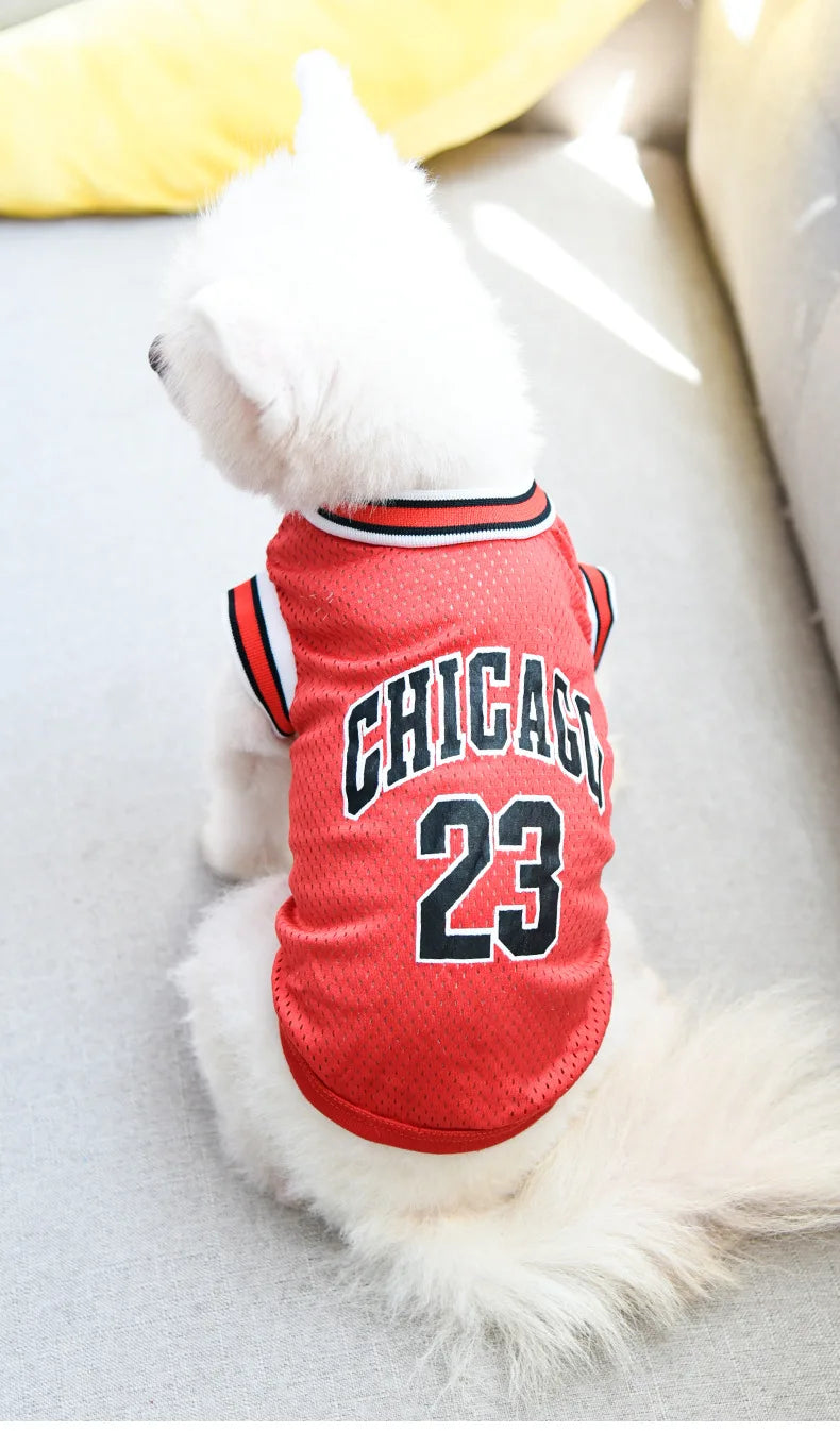 petsSports Jersey Mesh - Breathable Basketball Shirt
