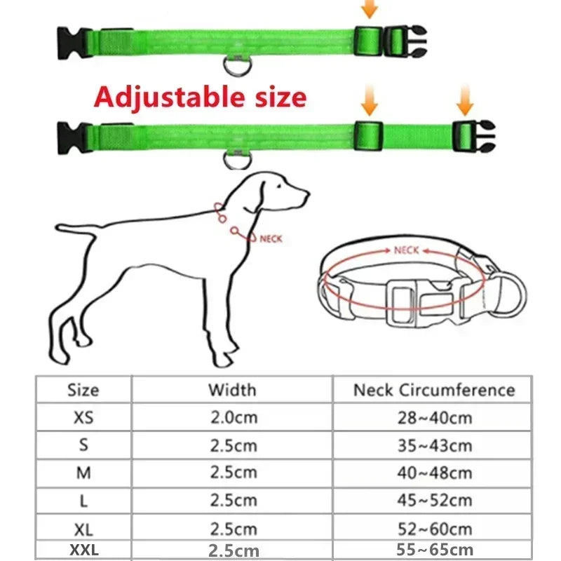LED Dog Collar Rechargeable - Safety Light Up Pet Collar