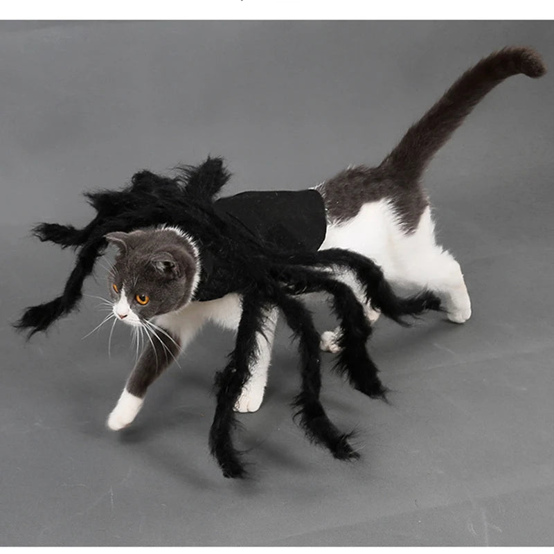 Spider Dog Costume Halloween - Funny 8 Leg Pet Outfit