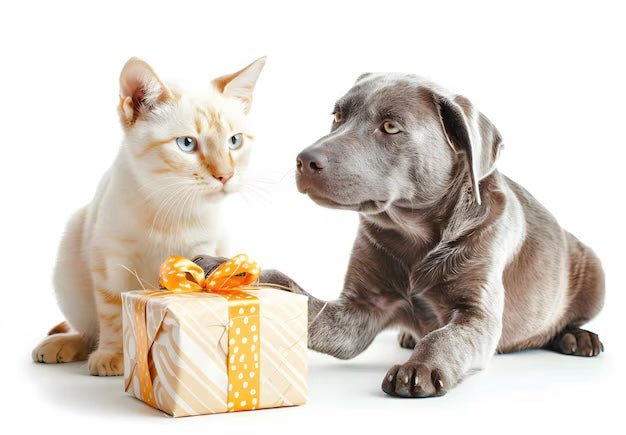 Gifts Ideas