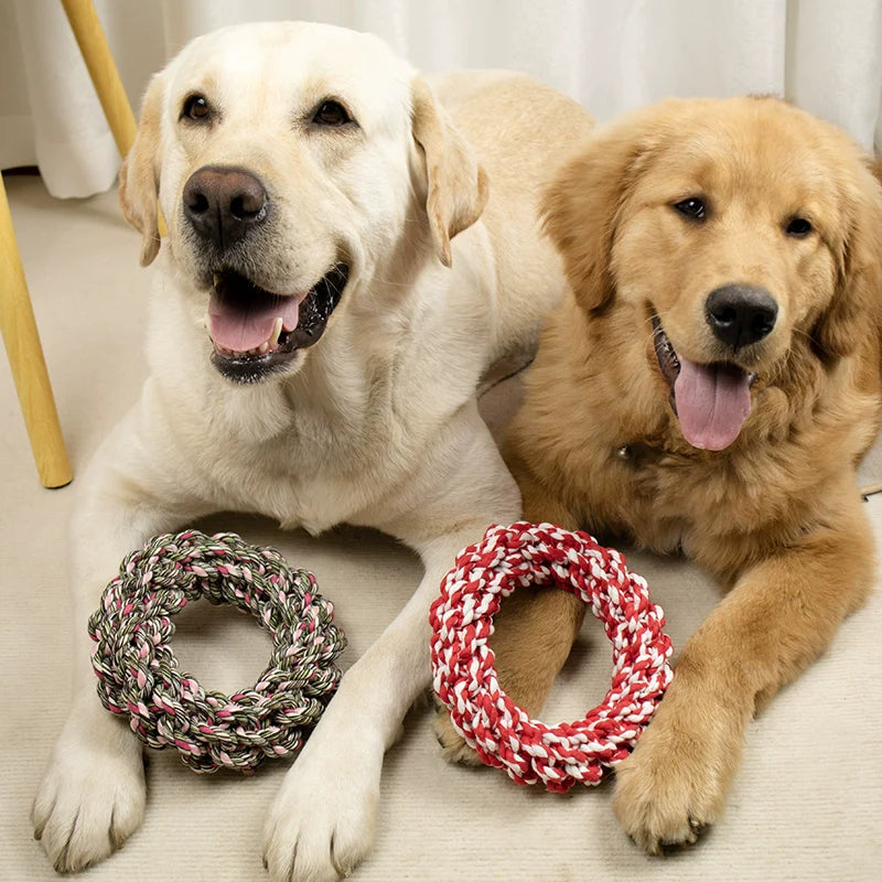 Dogs