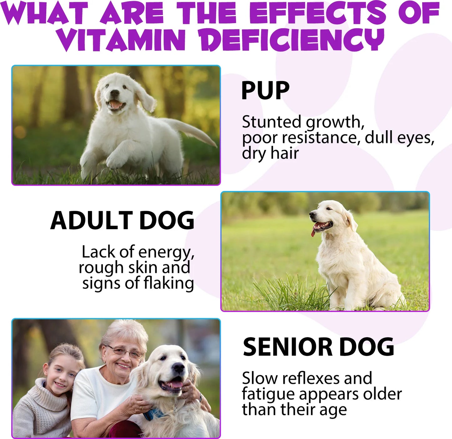 Dog Multivitamin 15-in-1 - Complete Health Support 60ml