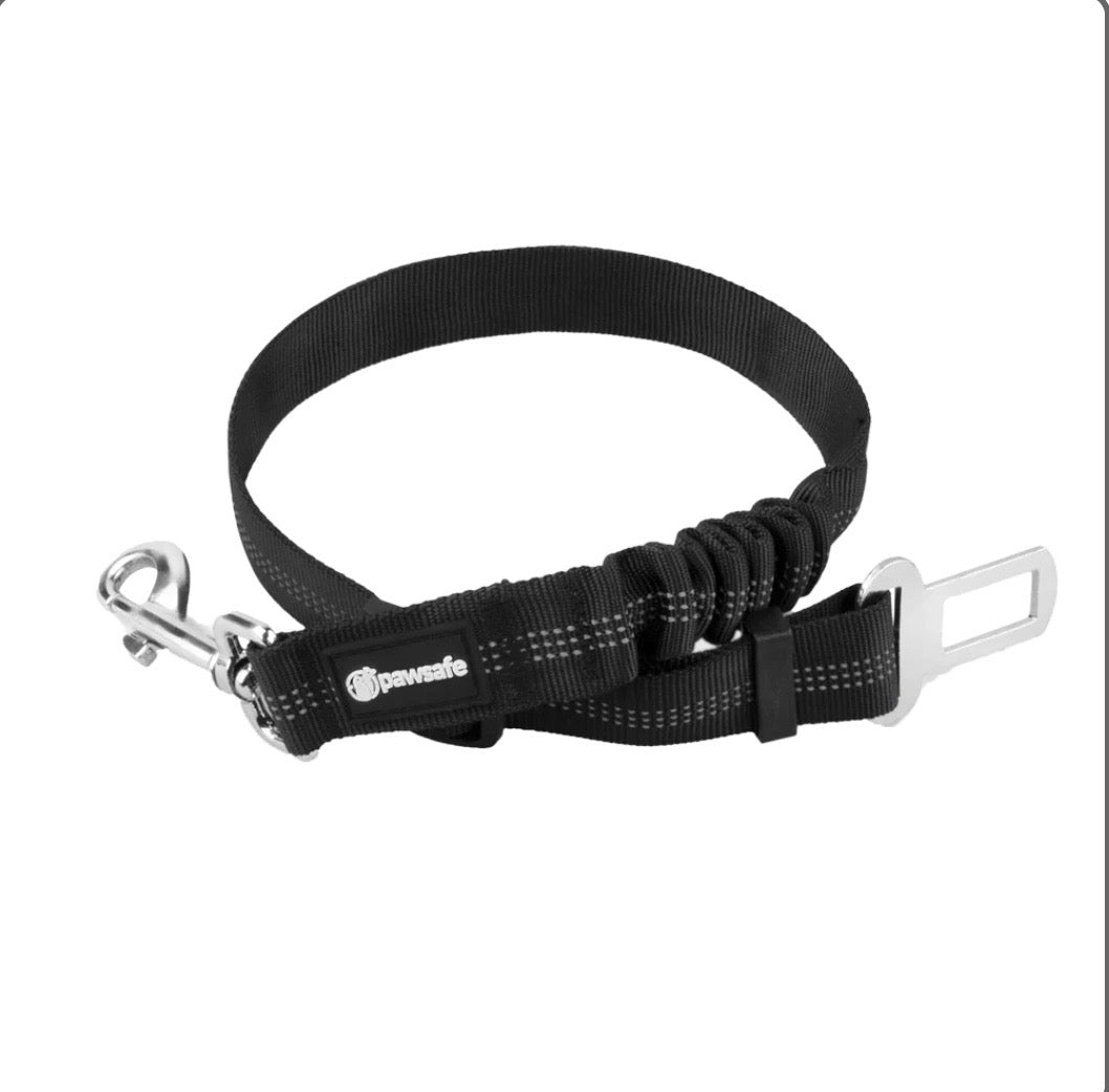 Dog Seat Belt