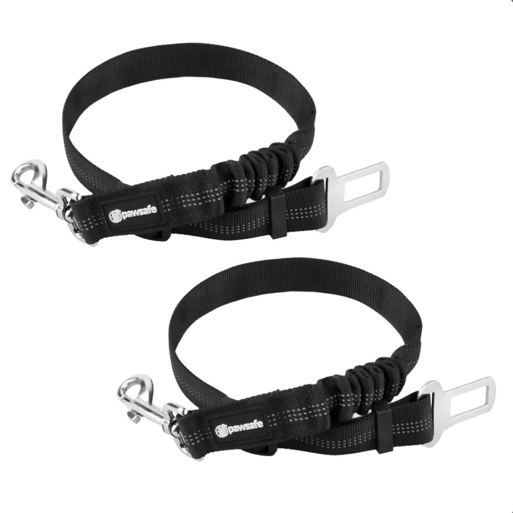 Dog Seat Belt