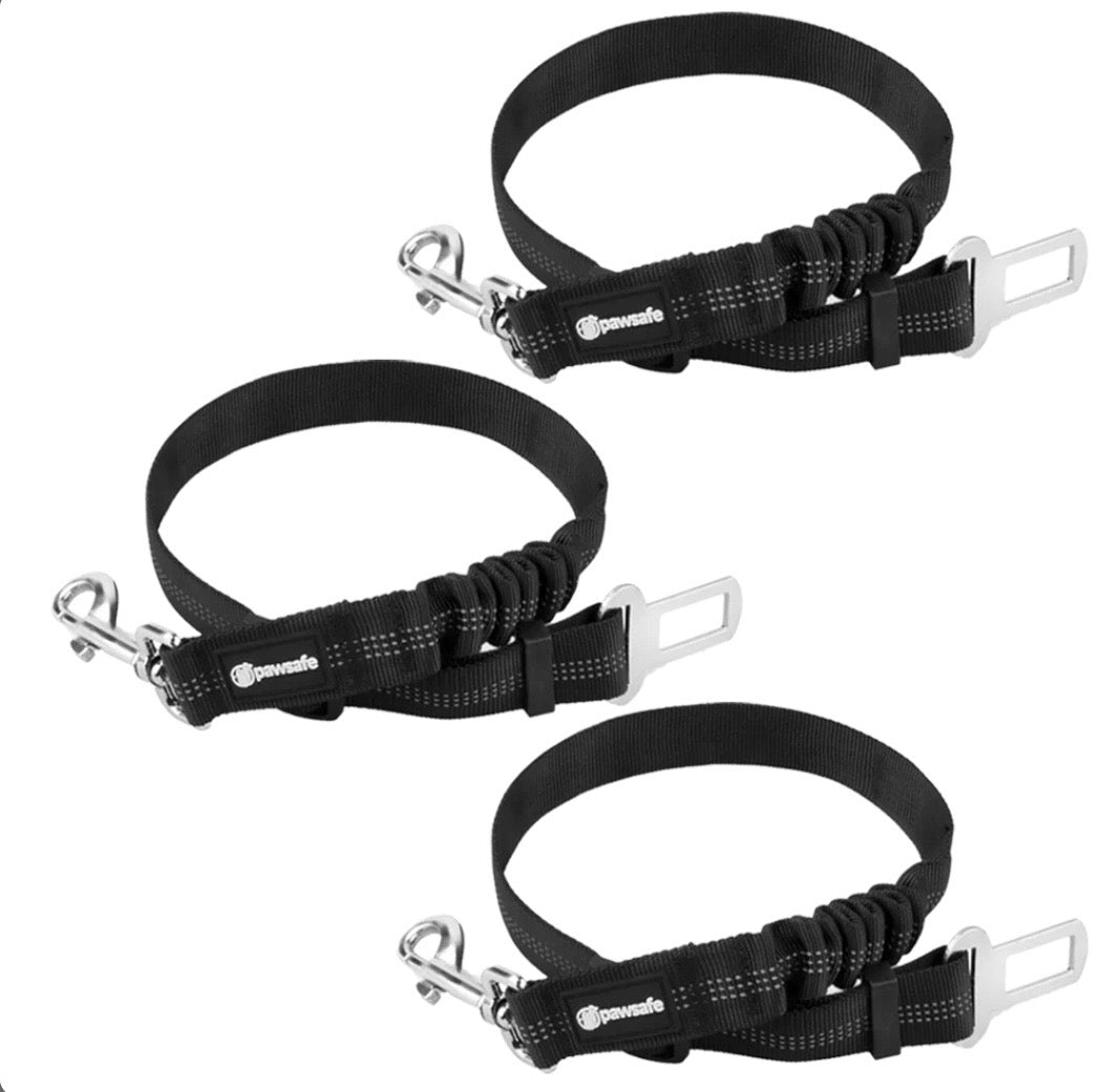 Dog Seat Belt