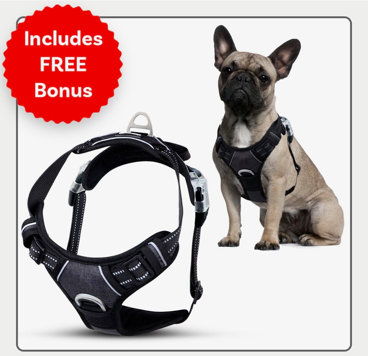 No Pull Dog Harness