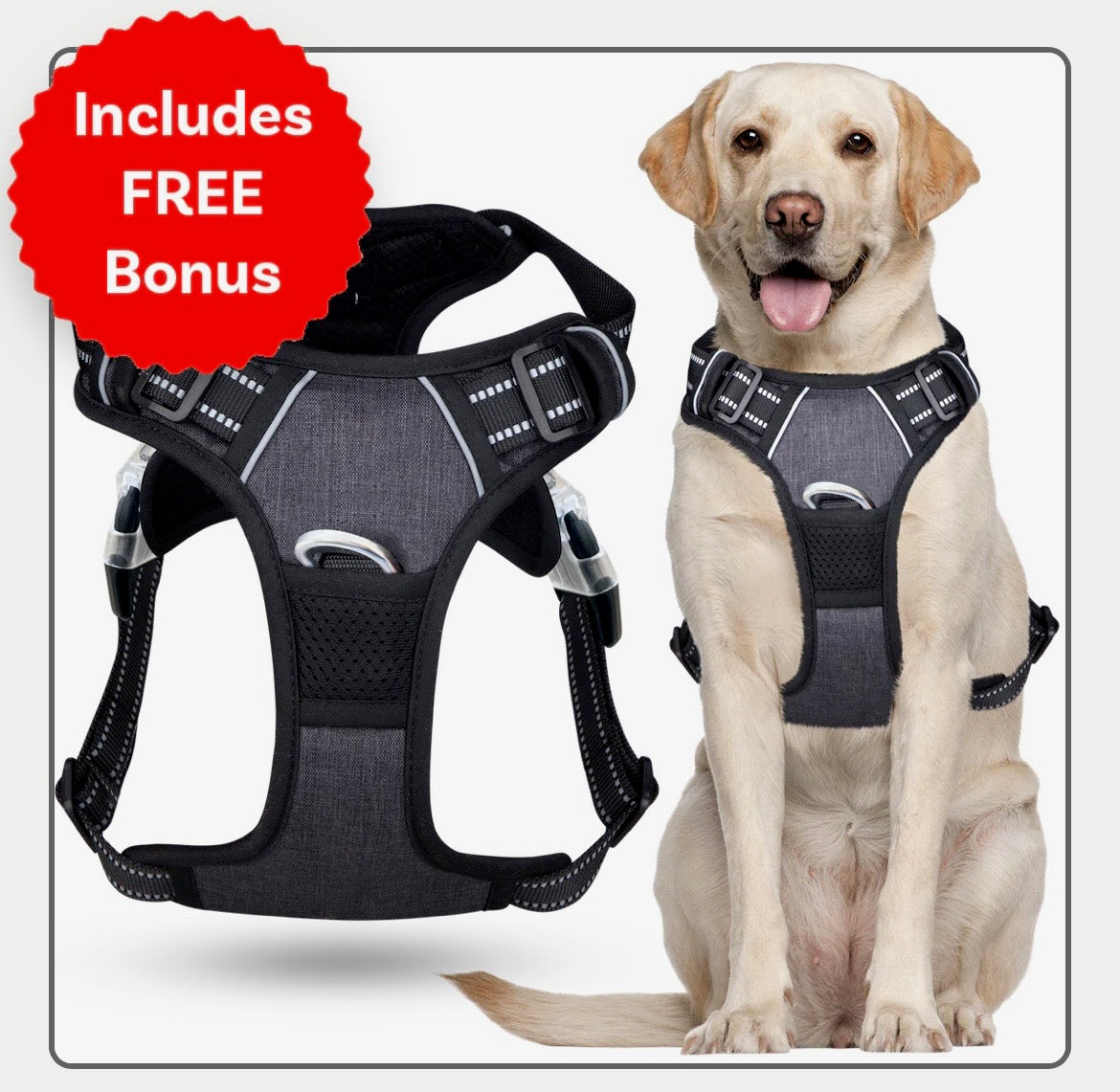 No Pull Dog Harness