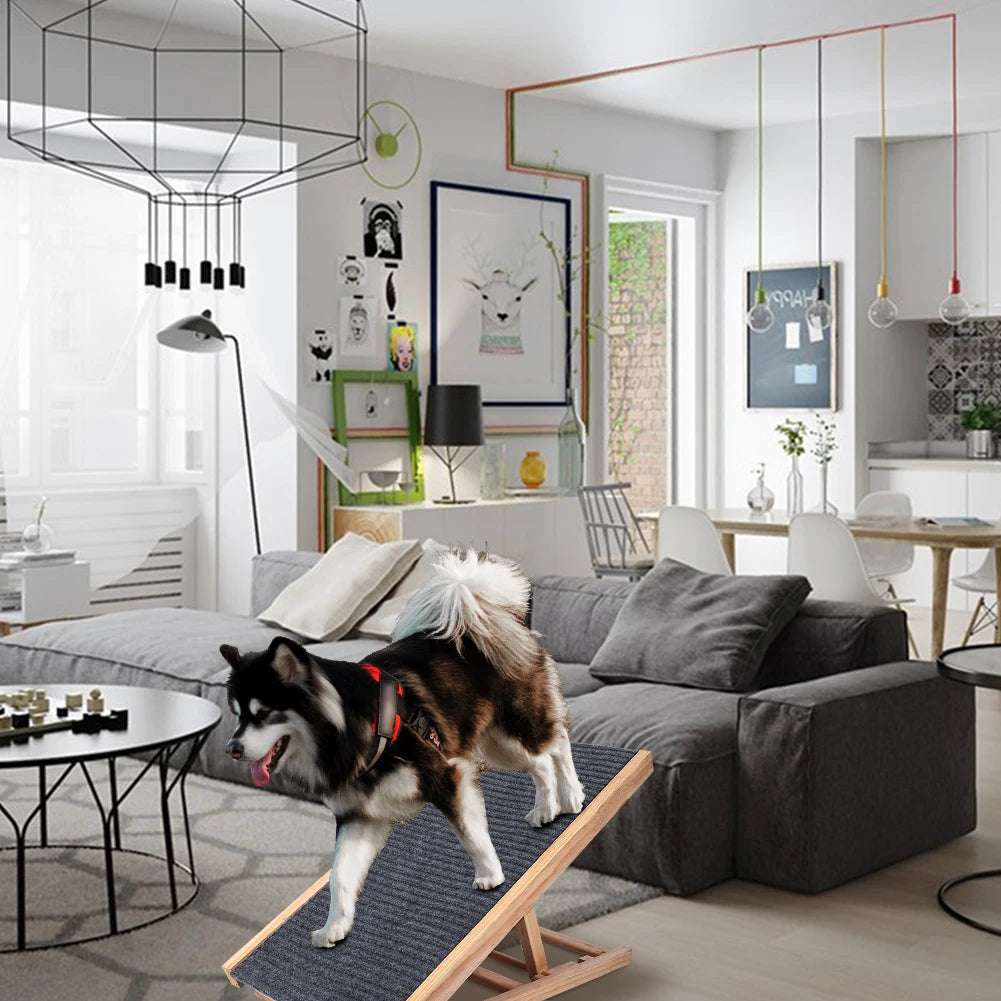 Dog Ramp for Couch Bed & Car