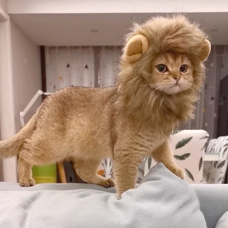 Lion Mane Pet Costume - Transform Cat or Puppy Into King