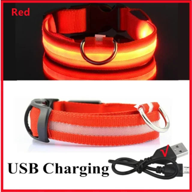 LED Dog Collar Rechargeable - Safety Light Up Pet Collar