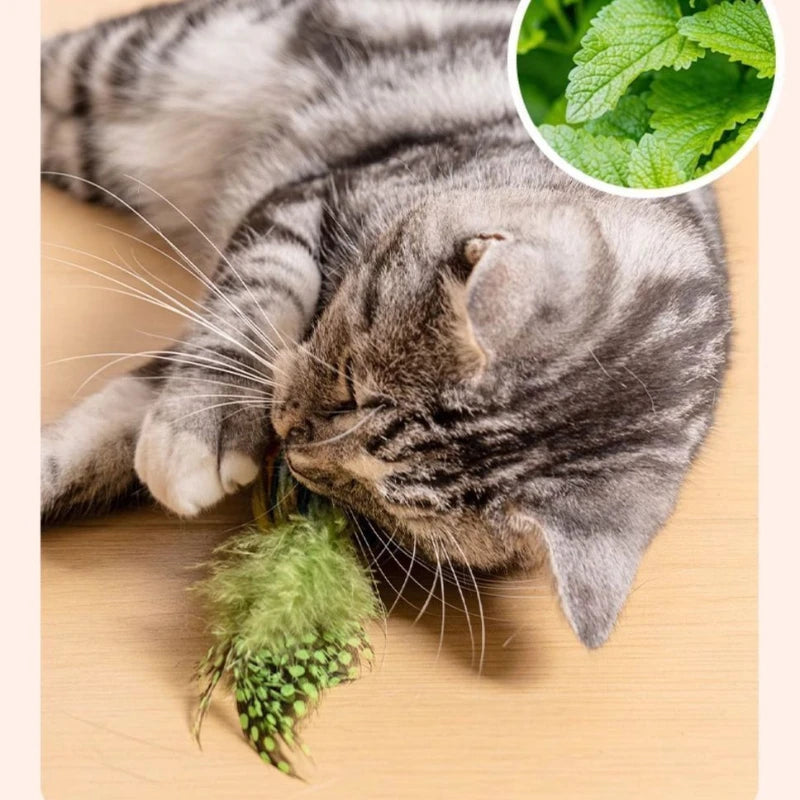 Interactive Bird Cat Toy - Realistic Feathered Catnip Toys