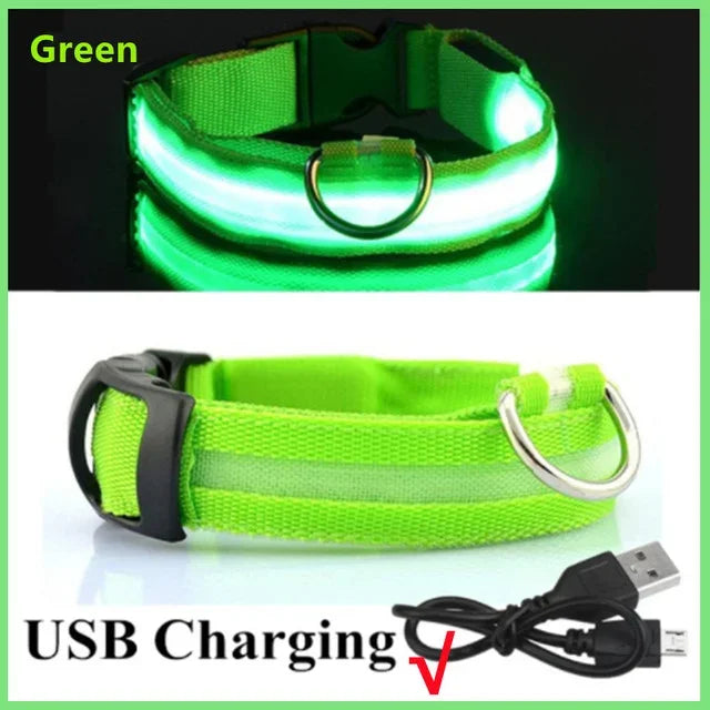 LED Dog Collar Rechargeable - Safety Light Up Pet Collar