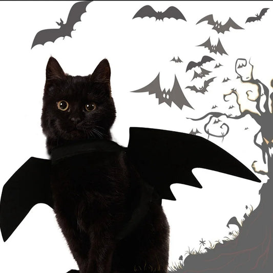 Halloween Bat Wings Pet Costume - Black Pet Harness Wings