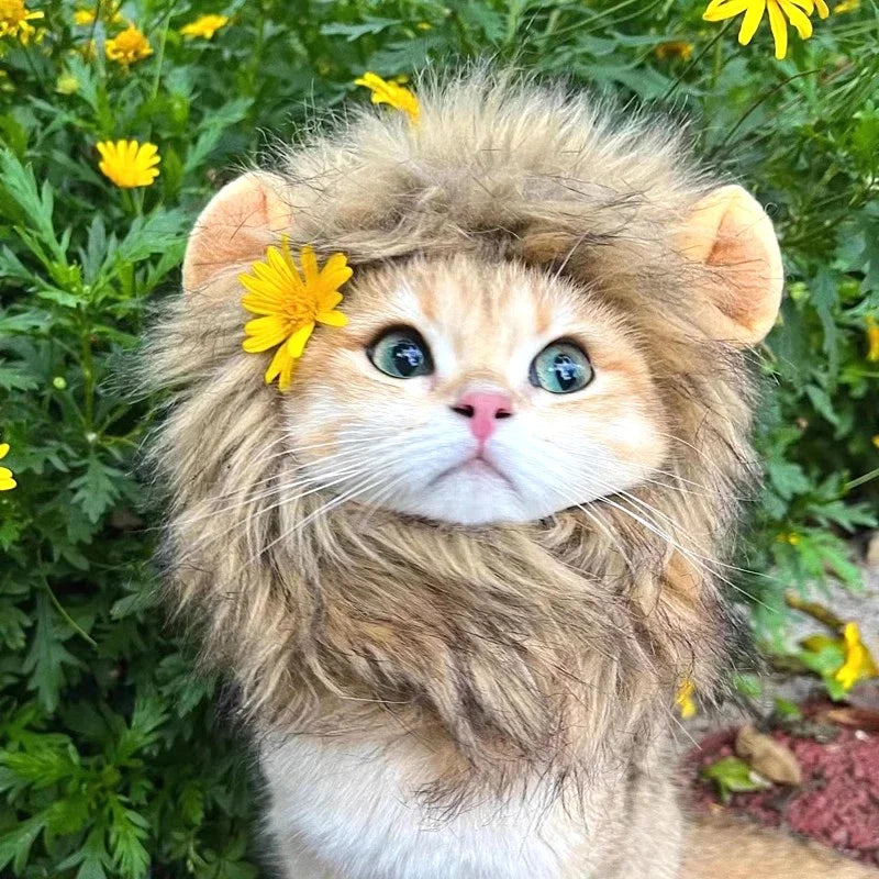 Lion Mane Pet Costume - Transform Cat or Puppy Into King