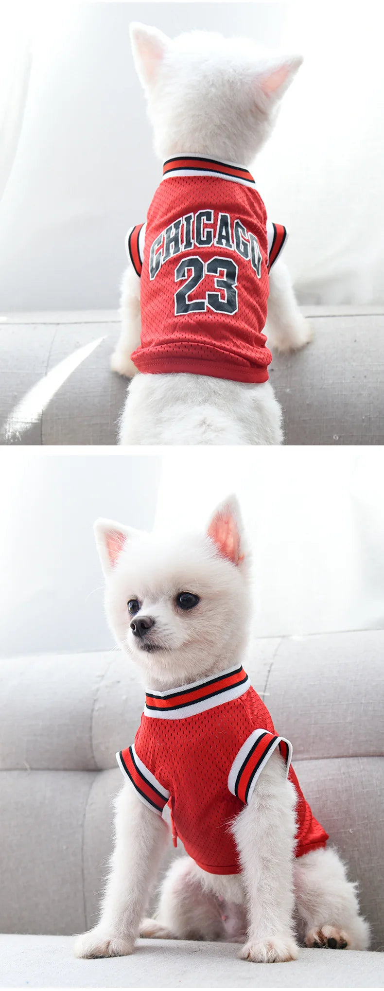 petsSports Jersey Mesh - Breathable Basketball Shirt