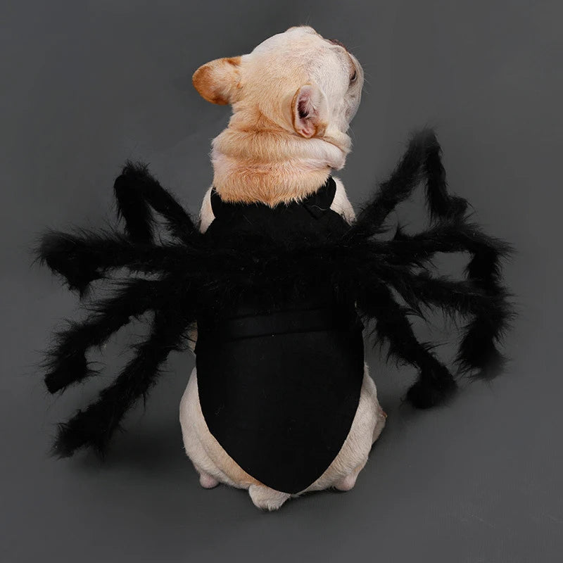 Spider Dog Costume Halloween - Funny 8 Leg Pet Outfit