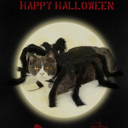 Spider Dog Costume Halloween - Funny 8 Leg Pet Outfit