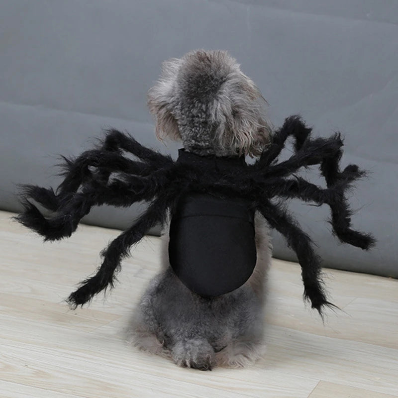 Spider Dog Costume Halloween - Funny 8 Leg Pet Outfit
