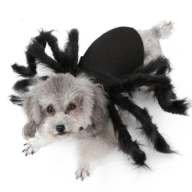 Spider Dog Costume Halloween - Funny 8 Leg Pet Outfit