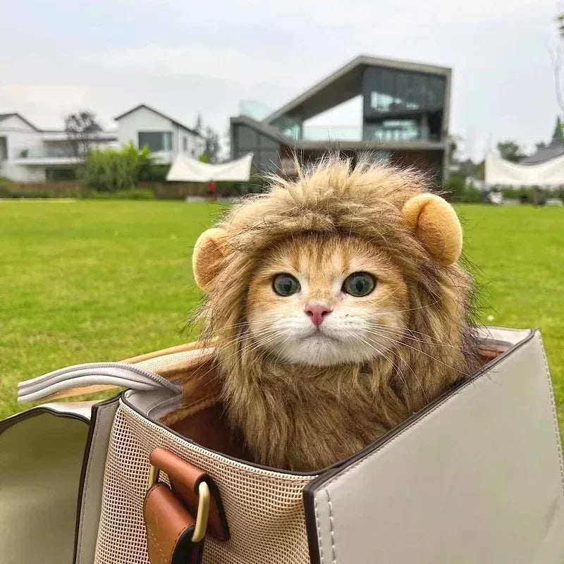 Lion Mane Pet Costume - Transform Cat or Puppy Into King