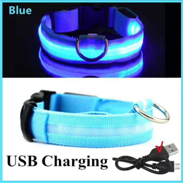 LED Dog Collar Rechargeable - Safety Light Up Pet Collar