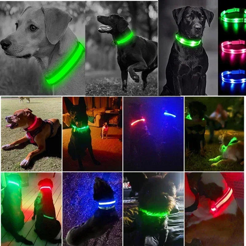 LED Dog Collar Rechargeable - Safety Light Up Pet Collar