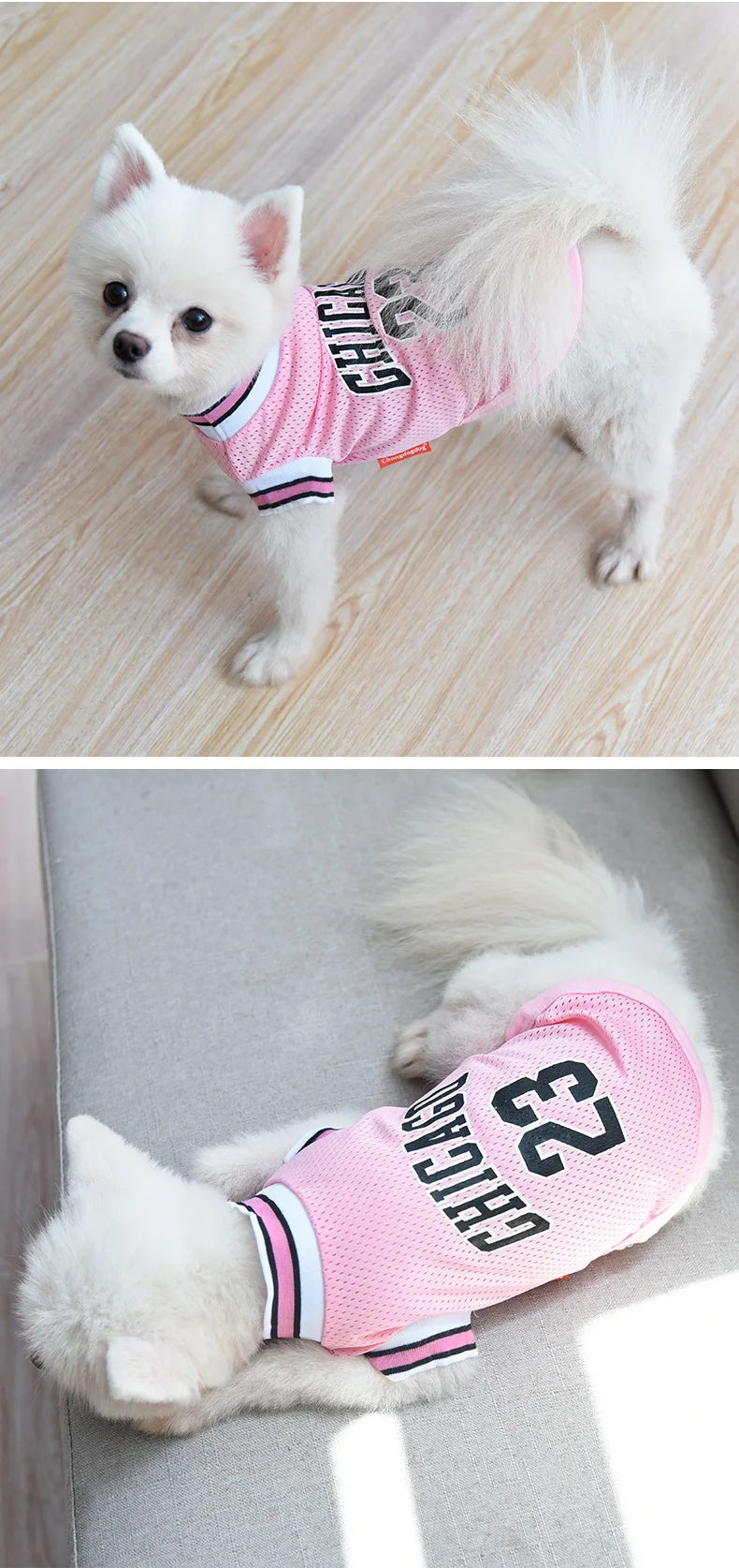 petsSports Jersey Mesh - Breathable Basketball Shirt