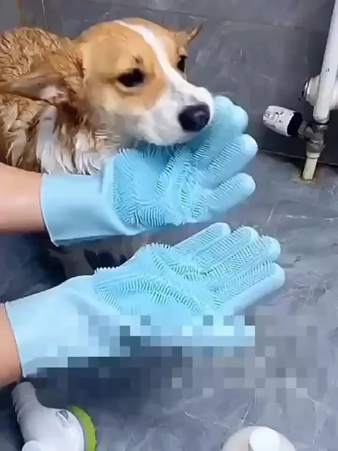 Magic Pet Grooming Gloves - Turn Bath Time Into Bonding Time