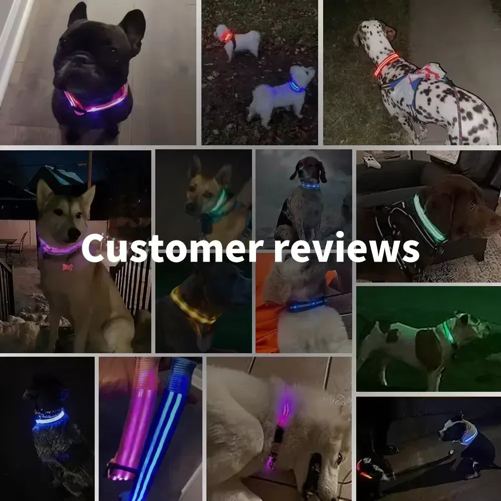LED Dog Collar Rechargeable - Safety Light Up Pet Collar