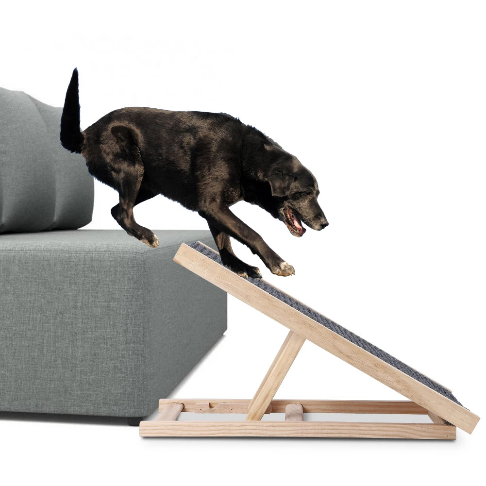 Dog Ramp for Couch Bed & Car