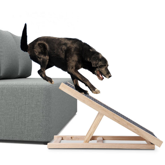 Dog Ramp for Couch Bed & Car
