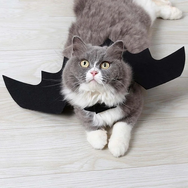 Halloween Bat Wings Pet Costume - Black Pet Harness Wings