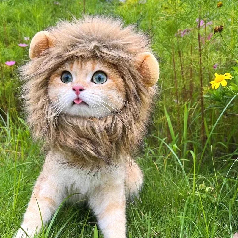 Lion Mane Pet Costume - Transform Cat or Puppy Into King