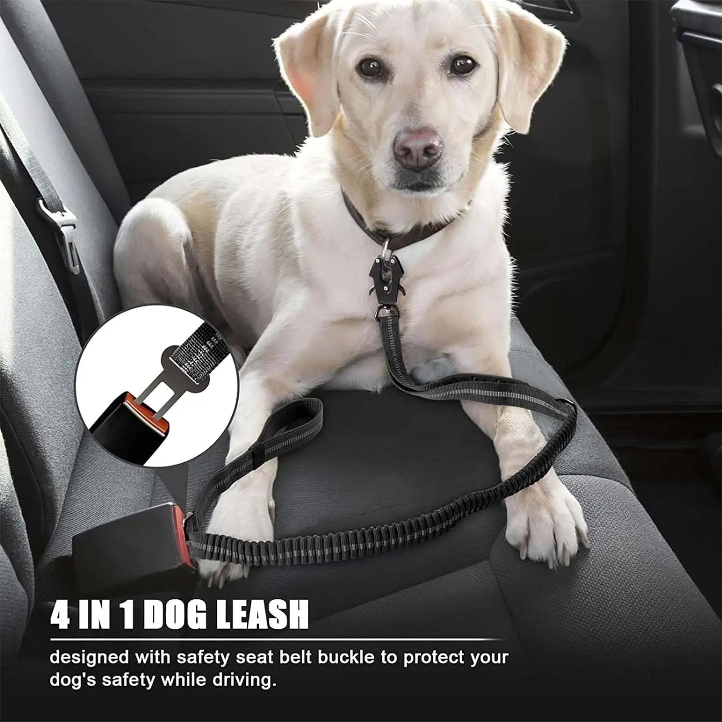4-in-1 No Pull Reflective Bungee Dog Leash