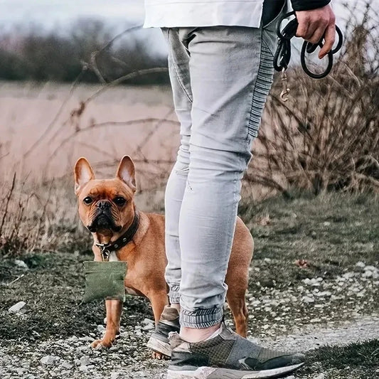 Canvas Dog Treat Pouch - Hands Free Training Bag